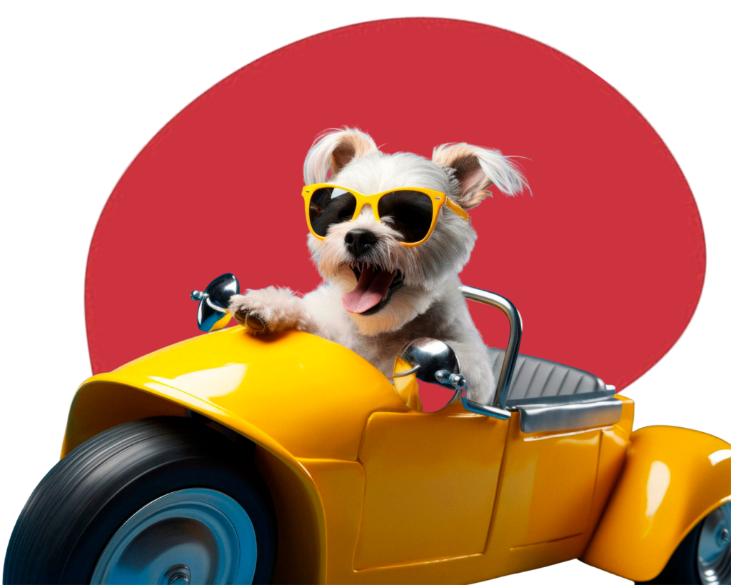 Taxi Dog - Deville Dog